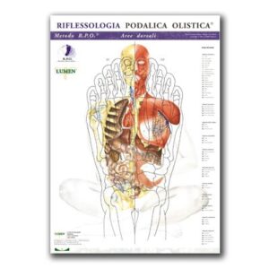 Poster di riflessologia plantare metodo RPO