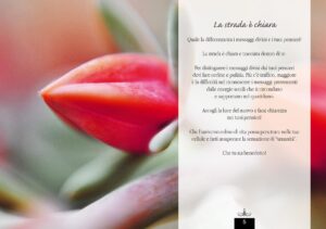 180 Riflessioni ricevute in meditazione