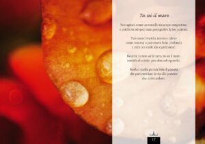 180 Riflessioni ricevute in meditazione