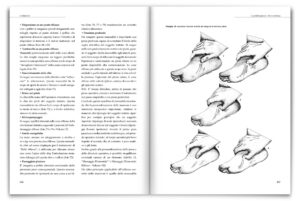 Riflessologia Plantare - li fondamenti