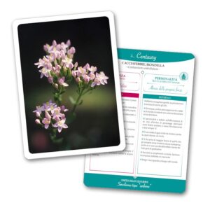 Le nuove carte dei Fiori di Bach