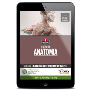 Corso online di Anatomia